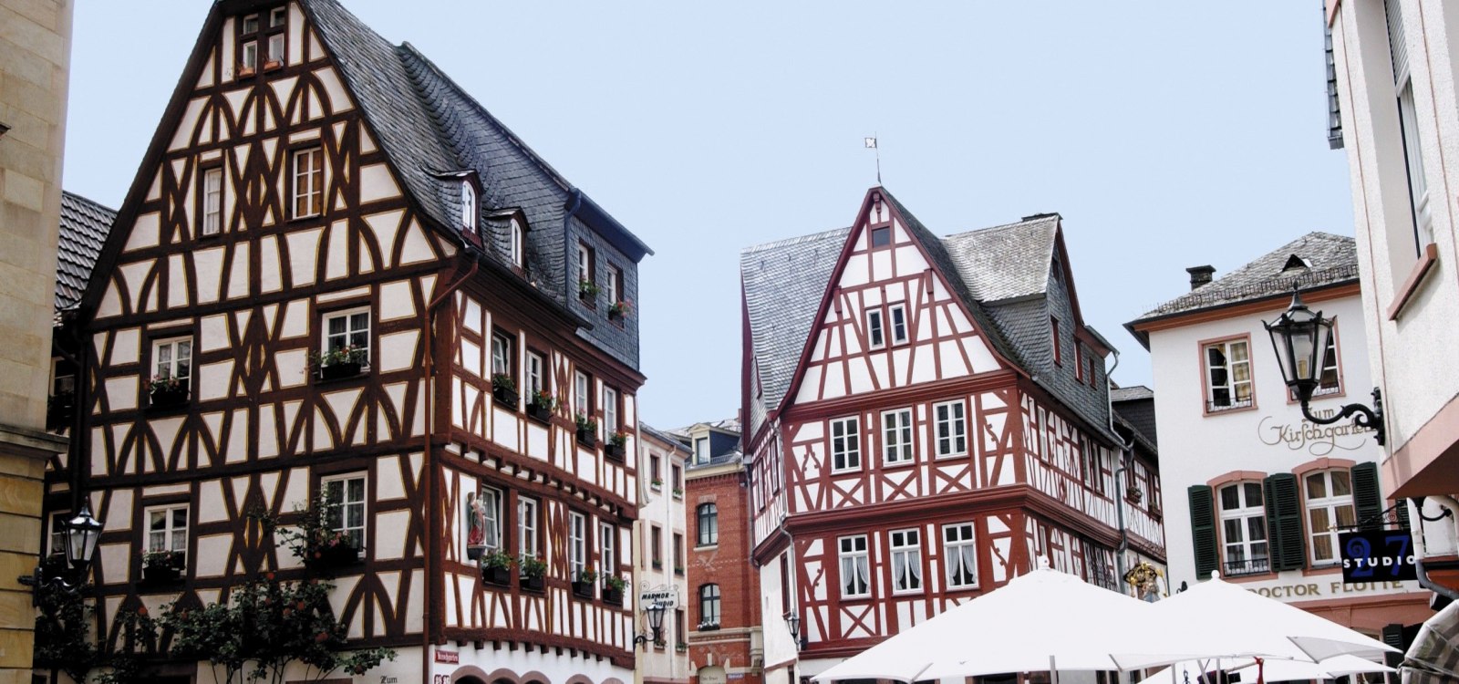 cherry Orchard, &copy; City of Mainz