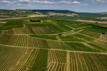 Welgesheimer Kirchg&auml;rtchen