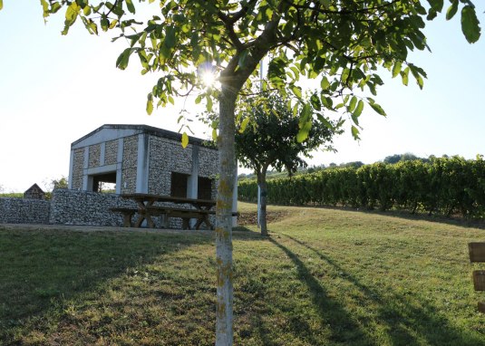 Weinbergsspaziergang Schiefster Turm der Welt &copy; Angelika Friedrich