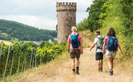 Titelbild 7 besondere Orte in Rheinhessen, © Dominik Ketz