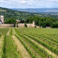 Blick auf die Burgkirche Ober-Ingelheim © Matthias Meerfeld