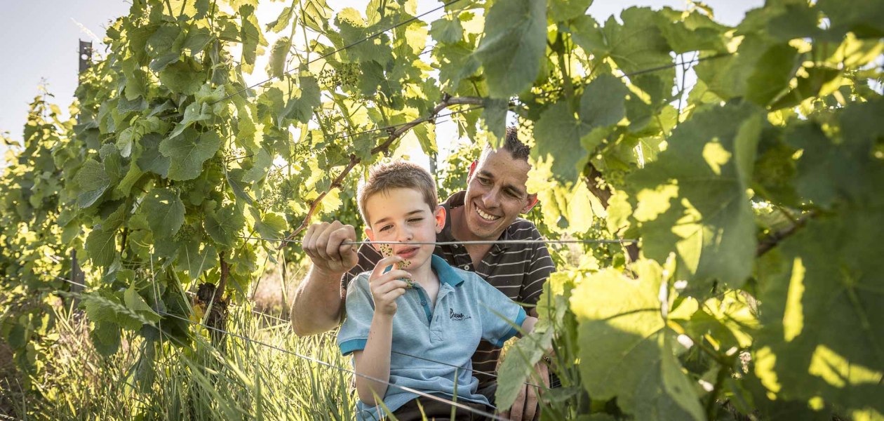 Weingut Grosch_Winzer 2, &copy; Weingut Grosch