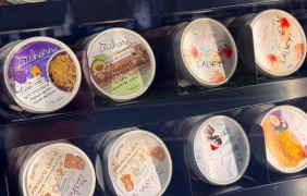 leckere Eissorten am 24/7 Eishorn Eisautomat