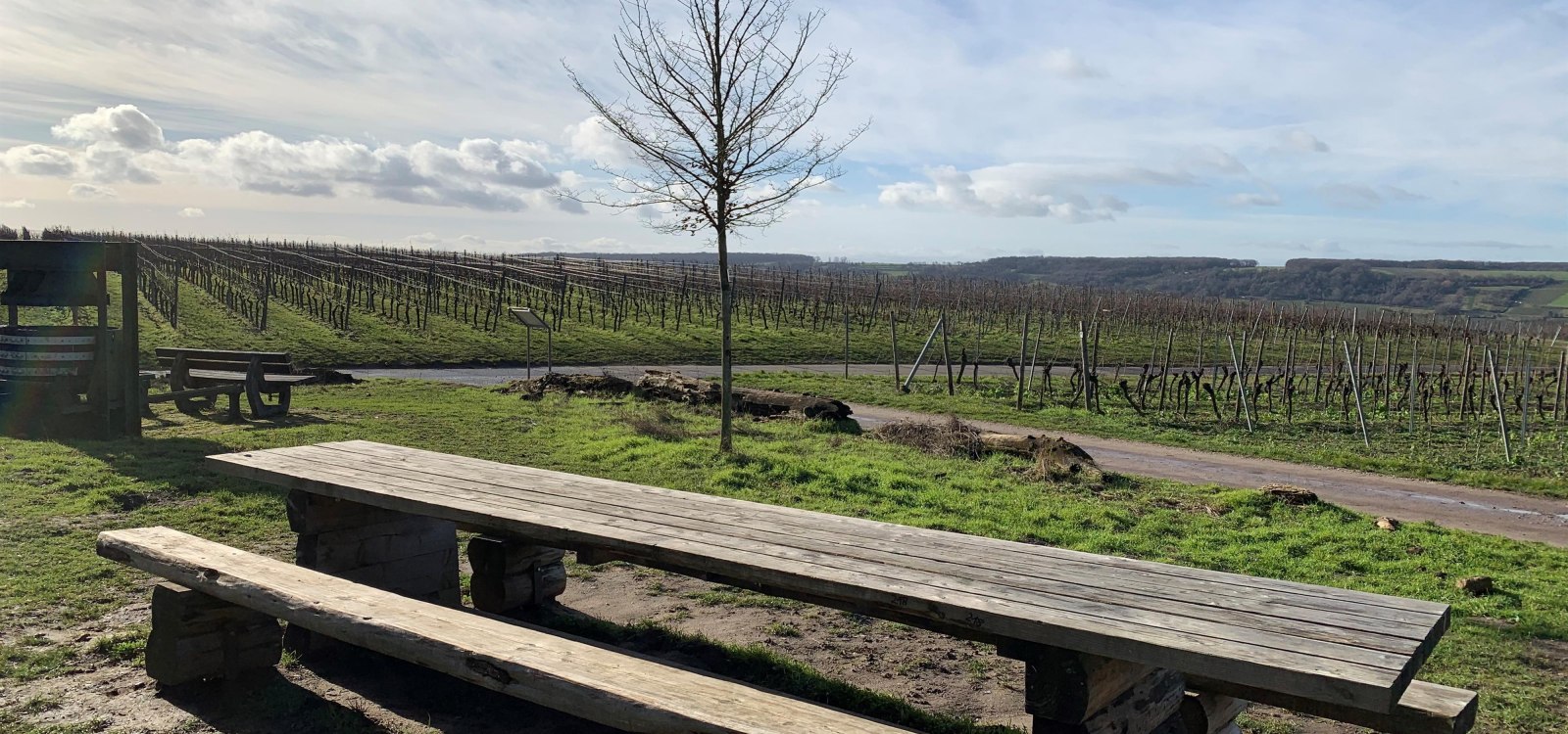 Tisch des Weines an der Weinmeile, &copy; Petra Julius/Stadt Ingelheim
