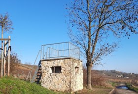 Weinbergsh&auml;uschen am Frikadellenb&auml;umchen &copy; TSC Rhein-Selz