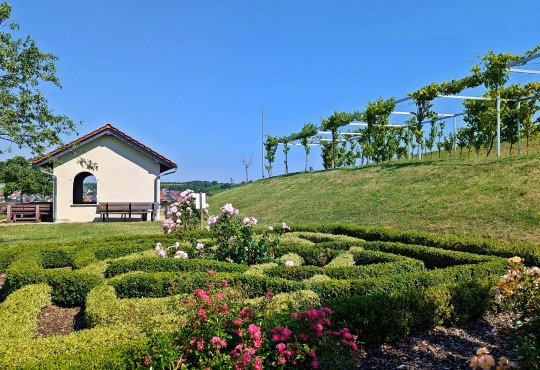 Weinbergshäuschen Gigser bei Wolfsheim, © Kristin Berschet 