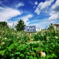 Gartenblick aufs Gartenhaus