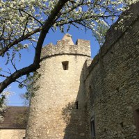 Hexenturm &copy; Karin Henn