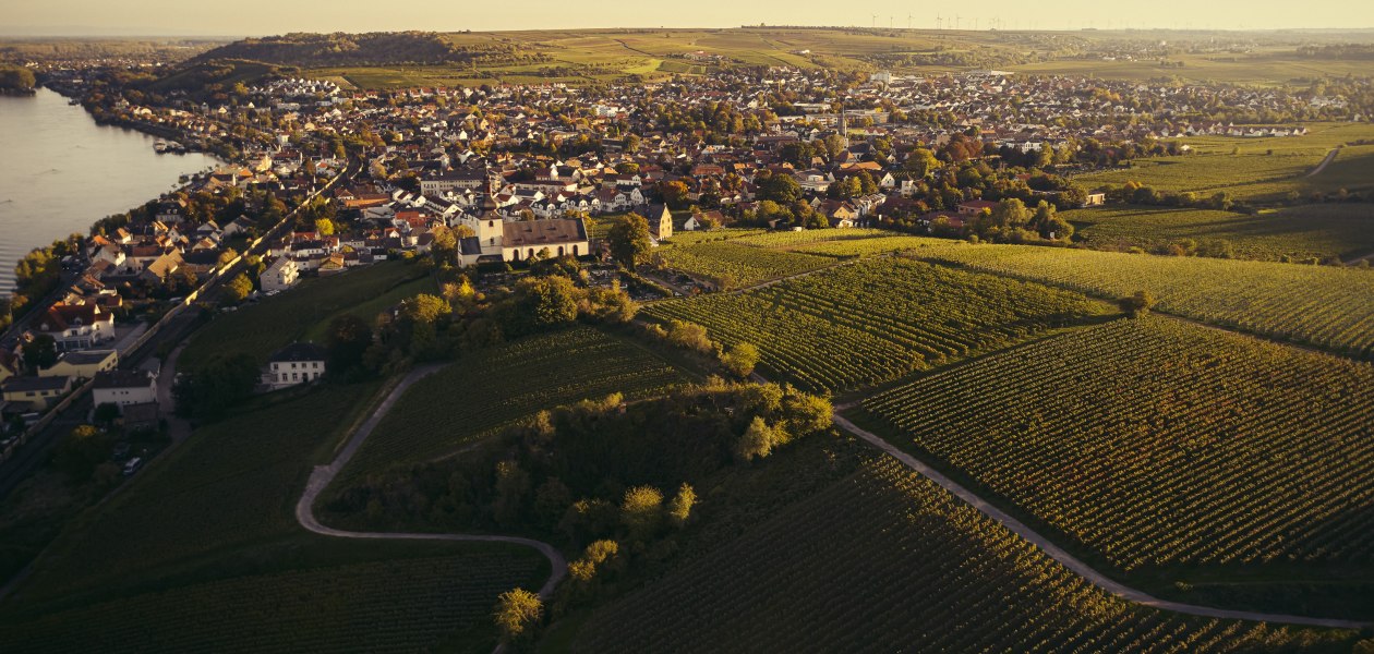 KG_Oelberg_┬&reg;peterbender2