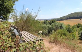 Ruhebank am Aussichtspunkt © Rheinhessen-Touristik GmbH
