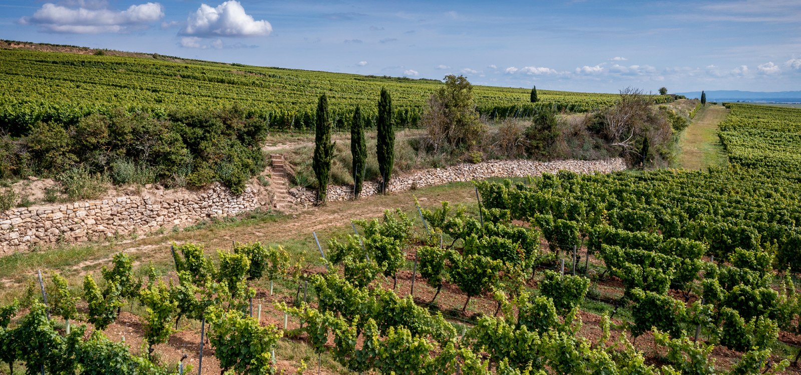 Westhofener Brunnenhäuschen