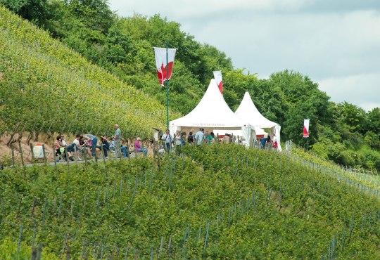 Roter Hang Weinpr&auml;sentation