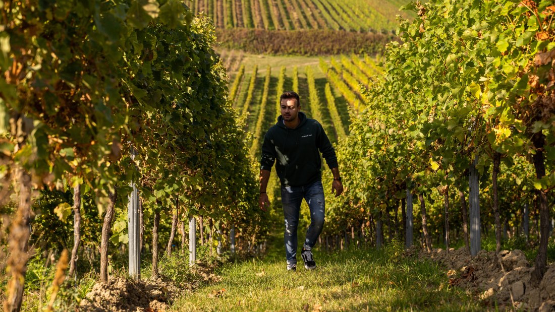 Mark Hahn Weine_Winzer in den Weinbergen, © Mark Hahn Weine Weingut Hahn GbR