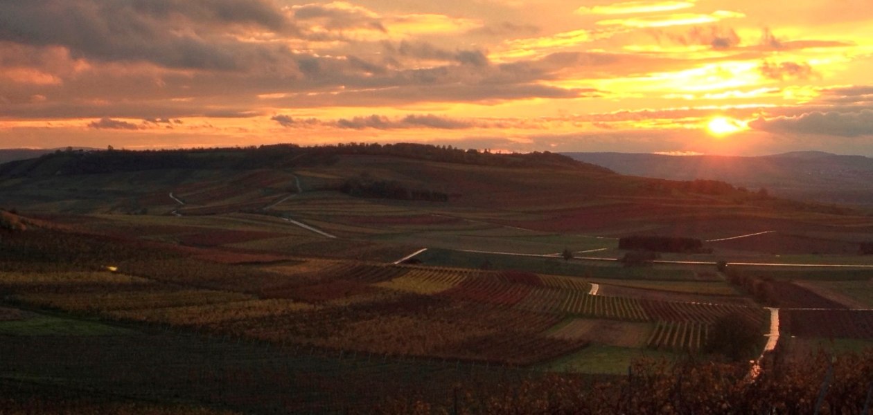 IMG_0331, &copy; Weingut Kathrinenhof