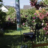 Garten &copy; Schniering