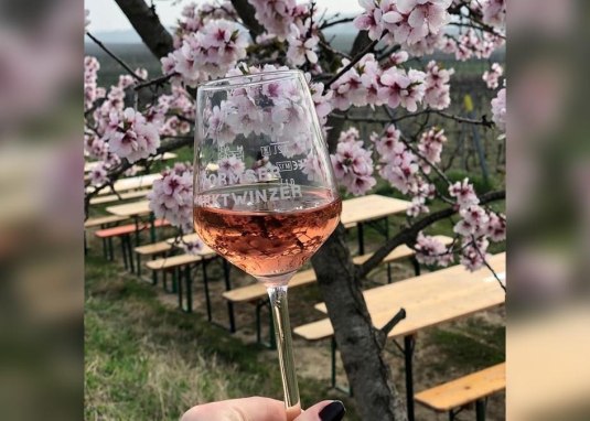 Mandelbl&uuml;tenfest . &copy; Christoph L&ouml;sch