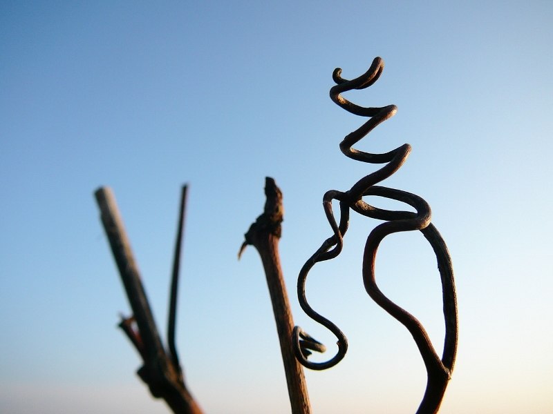 3 (800 x 600), &copy; Weinhaus Uhl