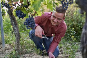 2023_Camera-Creativ_Weingut Goldschmidt_LEICA M10-P_CAMC7189_23-09-28