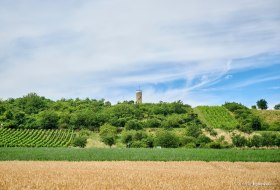 Wartturm in Albisheim &copy; Donnersberg-Touristik-Verband e.V., Florian Trykowski