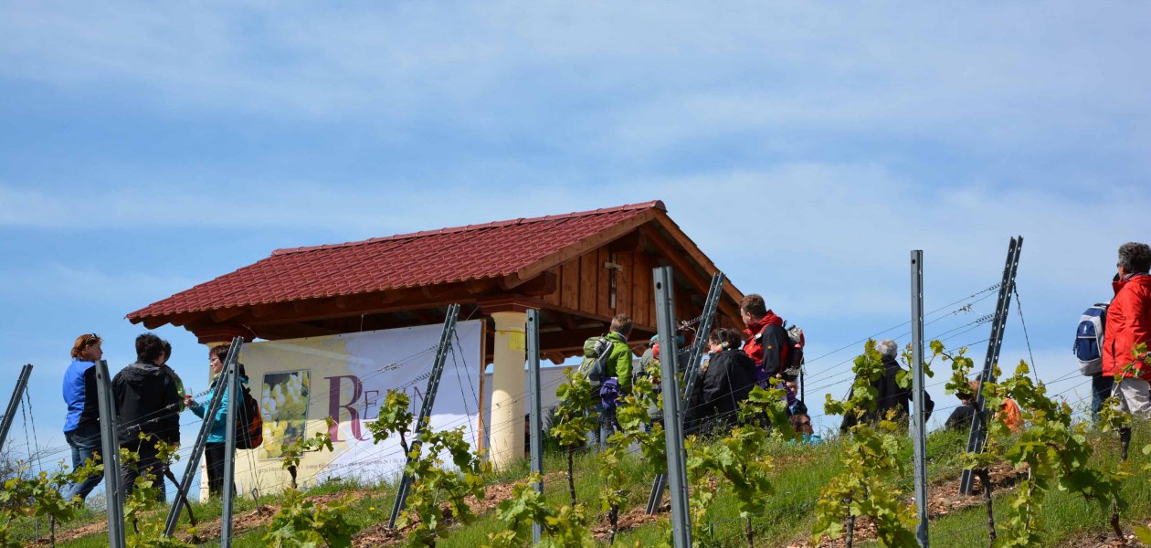 Weingut Rehn_Weingut, © Weingut Rehn