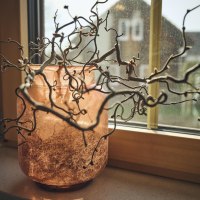 OBS_Nittenau_GIP1578_1600px