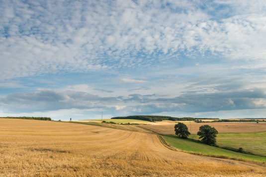 Rheinhessen Switzerland, &copy; Dominik Ketz