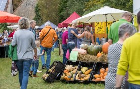 Rheinhessischer Landmarkt_3 © René Harth