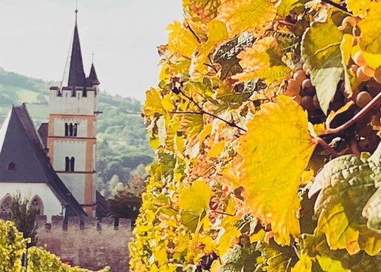 Genuss-KulTour Ober-Ingelheim &copy; Nadja Gl&auml;ssel-Roucka