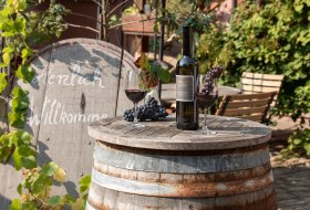 Herzlich Willkommen im Weingut Strub, © Weingut Strub