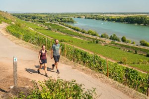 Wandelend stel met uitzicht op de Rijn, &copy; Dominik Ketz