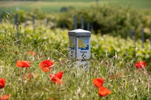 K&uuml;stenwegwanderung