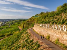 Roter Hang Blick Richtung Nierstein