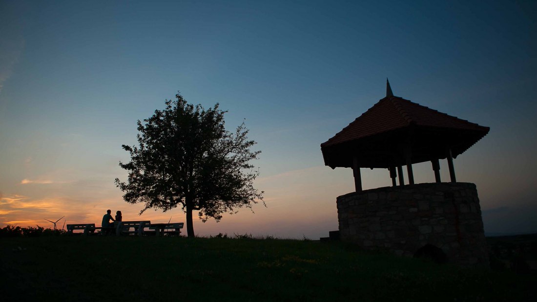Weingut Lawall-St&ouml;hr_Weinberg, &copy; Weingut Lawall-St&ouml;hr