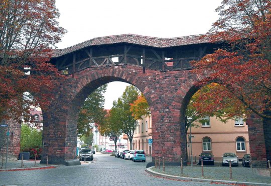 Worms Raschitor, &copy; Heiko M&uuml;ller