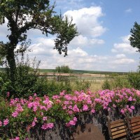 Ausblick &copy; S. Nehrba&szlig;-Borg
