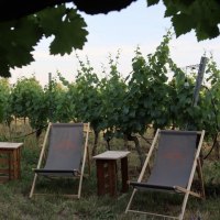 Afterwork im Weingut am Honigberg &copy; Weingut am Honigberg