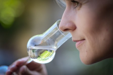 Nehrba&szlig;091-web &copy; Weingut & Brennerei Otto Nehrba&szlig;