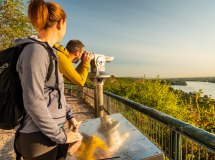 rheinhessen-2020-343