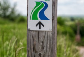 Markierungspfosten am RheinTerrassenWeg