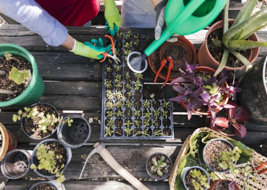 Pflanzentauschmarkt &copy; freepik