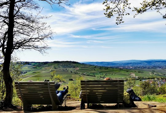 Immer wieder B&auml;nke, um das Panorama entspannt zu genie&szlig;en