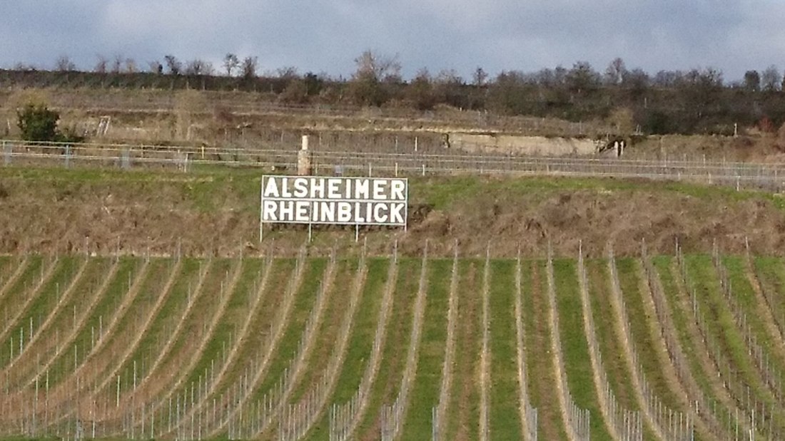 Weingut Weber Hof-Bärenstein_Weinberg, © Weingut Weber Hof-Bärenstein