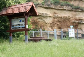 Naturdenkmal Weinheimer Trift © Tourist Information Alzeyer Land und Rheinhessische Schweiz