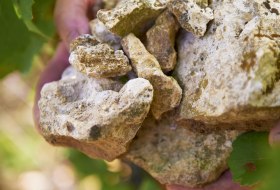 limestone