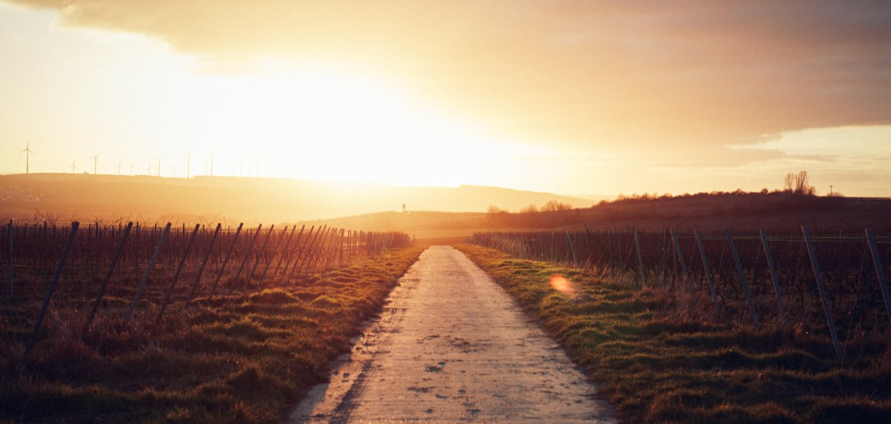 &copy; Weingut Becker