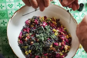 Wildkr&auml;uterwanderung, &copy; Adlerhof Projekt GmbH