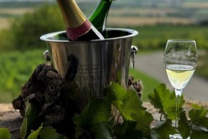 Eintauchen in die Welt des Schaumweins 1, © Uwe Riedner