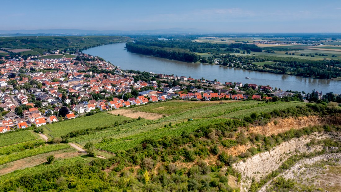 Niersteiner Parterberg-DJI_0229-171