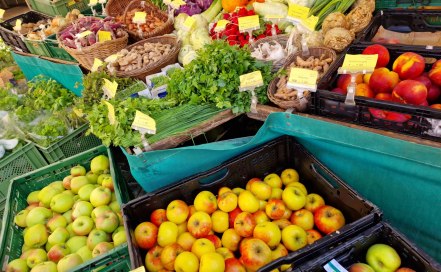 Frisches Obst, Gemüse und Kräuter vom Mainzer Wochenmarkt – regionale Produkte direkt vom Erzeuger