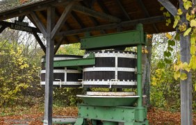 Kelter Gundersheim &copy; Touristkverein Wonnegau e.V.